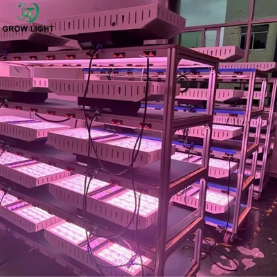 JT Grow Light nije samo rasvjeta, već i garancija rasta!