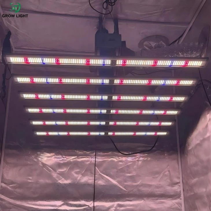 Removable plant grow lights