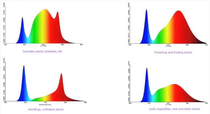 full spectrum 6 full spectrum 6