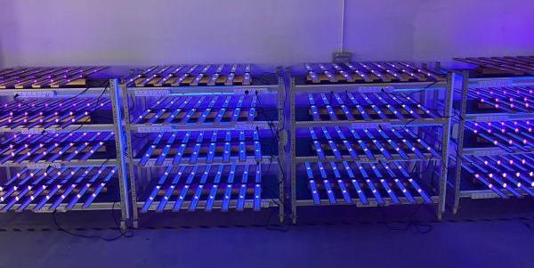 UV spectrum UV spectrum